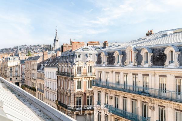 Appartement sous les toits avec vue sur la Cathédrale de Rouen