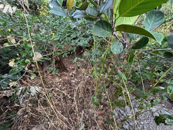 La mer à l'horizon pour ce grand terrain à SAINT-LEU