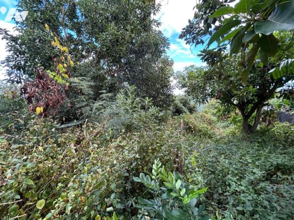 La mer à l'horizon pour ce grand terrain à SAINT-LEU
