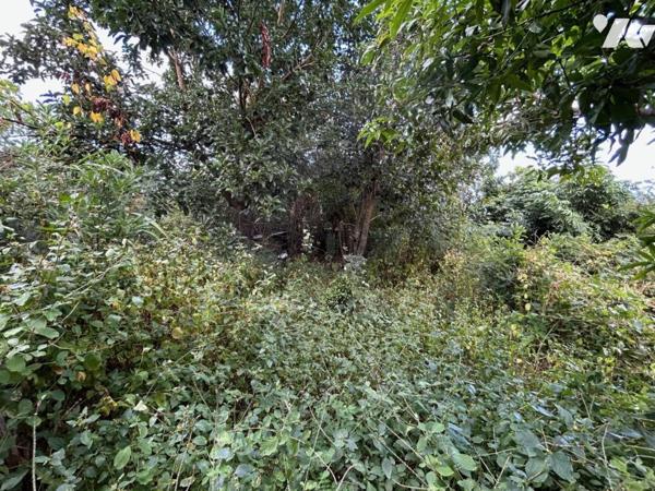 La mer à l'horizon pour ce grand terrain à SAINT-LEU