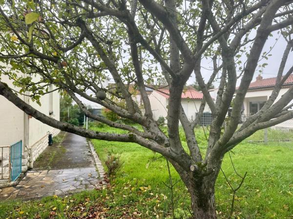 Viager occupé 1 tête