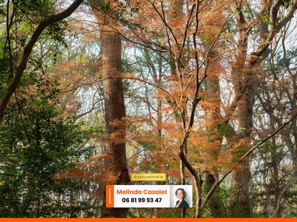 Parcelle boisée sur Amou