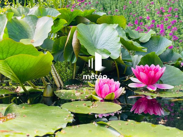 Maison Talmont Saint Hilaire 203m²