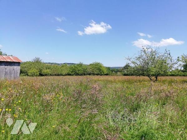 A 2 km de VILLAINES-LA-JUHEL centre (53), en campagne, terrain de loisirs (non constructible) e...