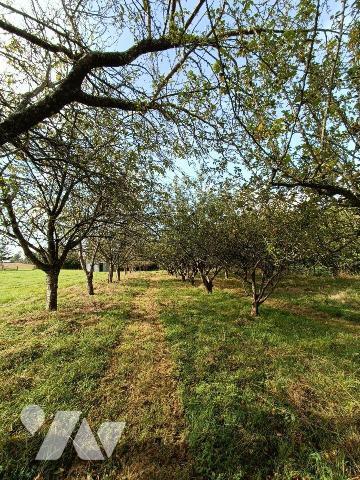 A 2 km de VILLAINES-LA-JUHEL centre (53), en campagne, terrain de loisirs (non constructible) e...