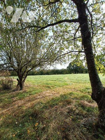 A 2 km de VILLAINES-LA-JUHEL centre (53), en campagne, terrain de loisirs (non constructible) e...