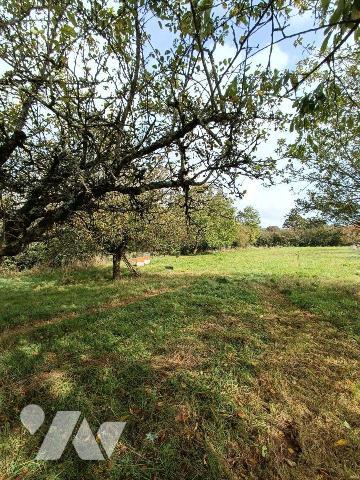 A 2 km de VILLAINES-LA-JUHEL centre (53), en campagne, terrain de loisirs (non constructible) e...