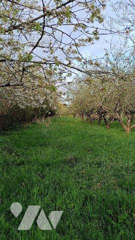 A 2 km de VILLAINES-LA-JUHEL centre (53), en campagne, terrain de loisirs (non constructible) e...