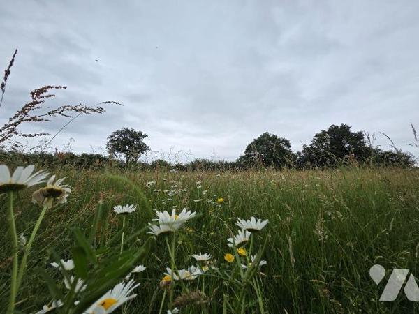 A 2 km de VILLAINES-LA-JUHEL centre (53), en campagne, terrain de loisirs (non constructible) e...