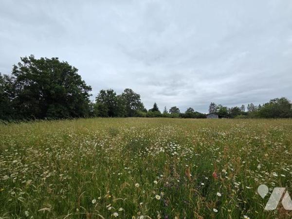 A 2 km de VILLAINES-LA-JUHEL centre (53), en campagne, terrain de loisirs (non constructible) e...