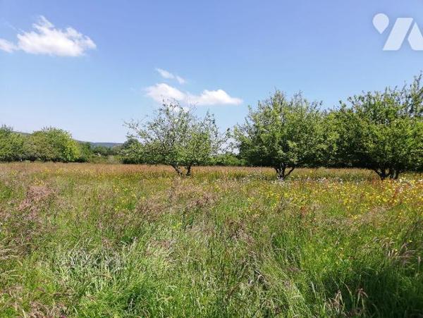 A 2 km de VILLAINES-LA-JUHEL centre (53), en campagne, terrain de loisirs (non constructible) e...