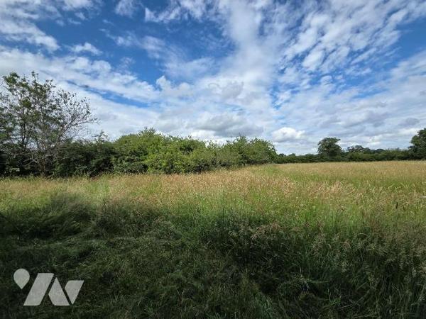 A 2 km de VILLAINES-LA-JUHEL centre (53), en campagne, terrain de loisirs (non constructible) e...