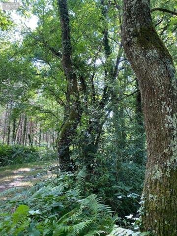 Maison à vendre à Châtillon-sur-Indre dans l'Indre (36700), ref : 1050185