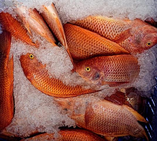 Fonds et/ou murs commerciaux à vendre à Orvault en Loire-Atlantique (44700), ref : 44028-1464