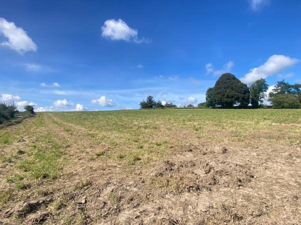 EN EXCLUSIVITE ! Corps de ferme avec maison d'habitation de 89m² sur terrain de 2hectares 2188m² 138 500 €