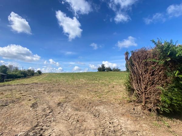 EN EXCLUSIVITE ! Corps de ferme avec maison d'habitation de 89m² sur terrain de 2hectares 2188m² 138 500 €