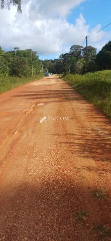 A VENDRE A MONTSINERY UNE PARCELLE AGRICOLE DE 10 000M²  Montsinéry-Tonnegrande (97356)