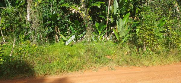 A VENDRE A MONTSINERY UNE PARCELLE AGRICOLE DE 10 000M²  Montsinéry-Tonnegrande (97356)