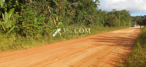 A VENDRE A MONTSINERY UNE PARCELLE AGRICOLE DE 10 000M²  Montsinéry-Tonnegrande (97356)