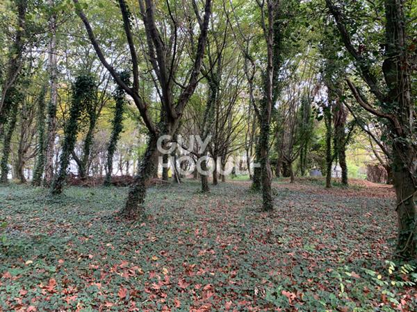 Terrain Castillon (canton D Arthez De Bearn) 2350 m2