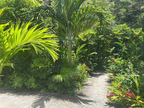 T2 récent en RDC avec jardin