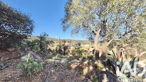 Maison à vendre 5 pièces 128 m² Amélie-les-Bains-Palalda