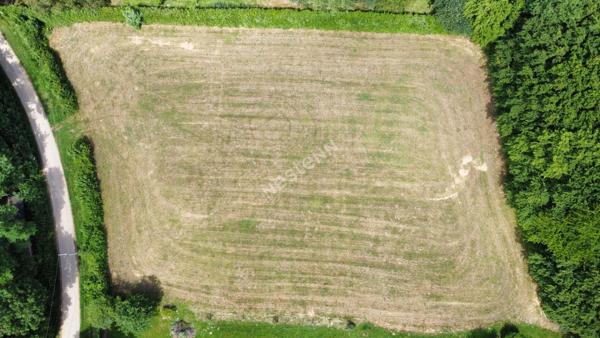 Terrain Saint Vincent En Bresse de 4237m2