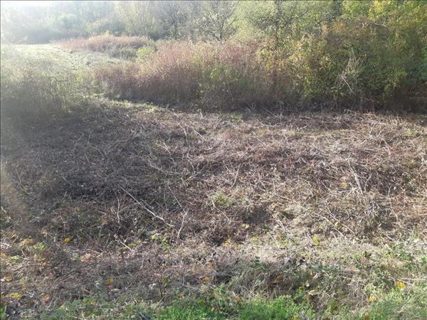 Terrain à vendre |  Saint-Projet |  4387 m²