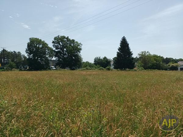 Vente terrain Questembert : 106 500 € - AJP Immobilier Questembert