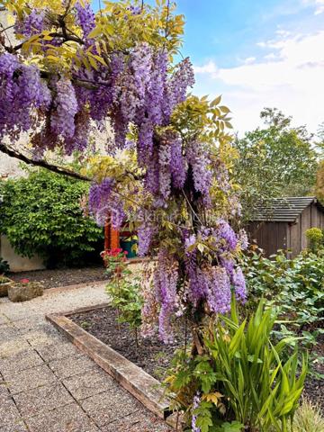Maison en pierre de 250 m²