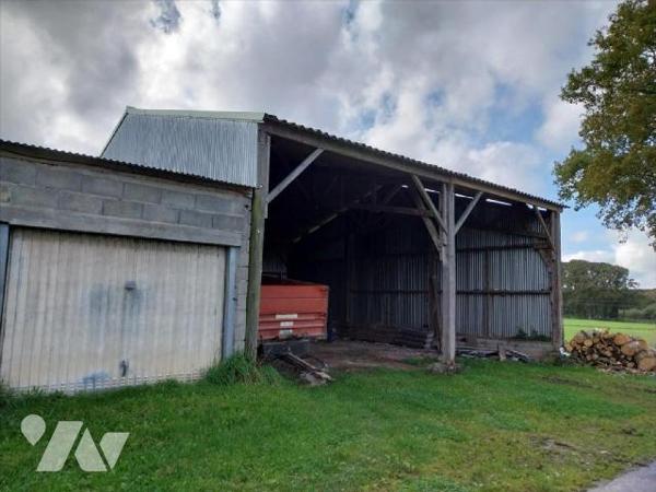 VAL D'IZE. En campagne, dans environnement calme, belle maison en pierres avec pièce de vie et ...