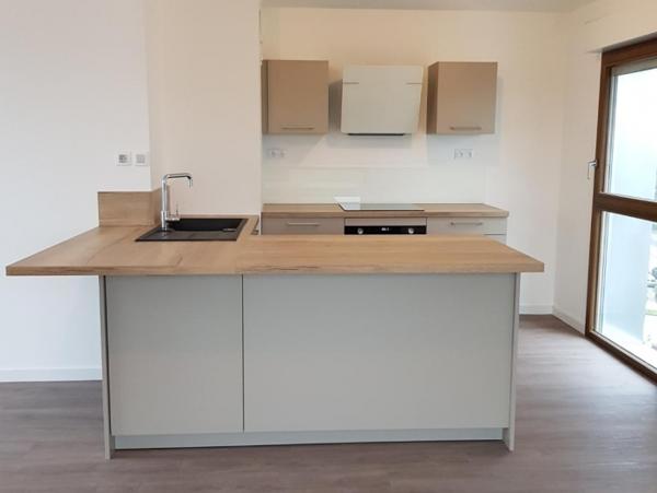 Location Appartement avec terrasse 3 pièces Strasbourg (67000) - 67100
