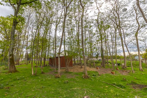 Maison Romorantin Lanthenay 5 pièce(s) 136 m2