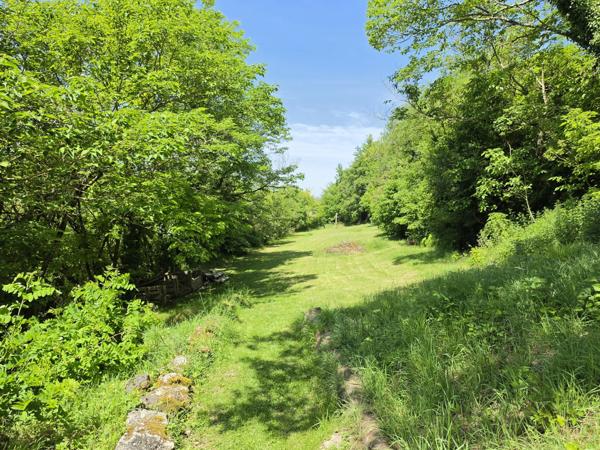 Propriété de caractère avec vue dominante et jardin en terrasses proche de Nérac, Lot et Garonne.