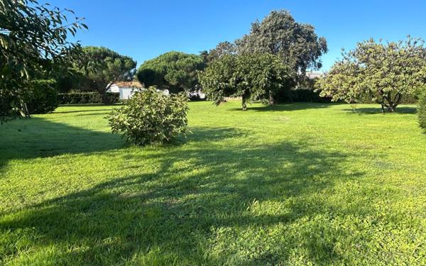 Maison à vendre    5 pièces •  Dolus-d'Oléron