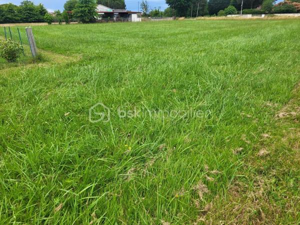 A saisir joli Terrain plat constructible viabilisé de 3201 m² à 1,5 kms du centre ville d’Aire sur Adour sur les hauteurs de la ville en zone non inondable

Terrain à bâtir situé à 2 minutes du centre et de toutes les commodités d'une ville offrant tous les services (écoles, collège, lycée, Polyclinique etc.....), il est prêt à accueillir vos projets de constructions (Libre choix du constructeur )

Terrain viabilisé en bordure de route (eau et électricité) en fond d’impasse.
Etude de sol sera réalisée ultérieurement.

Mer et montagne à 1H15 min

Contactez Frédéric CLEDES BSK Immobilier pour vous organiser une visite.