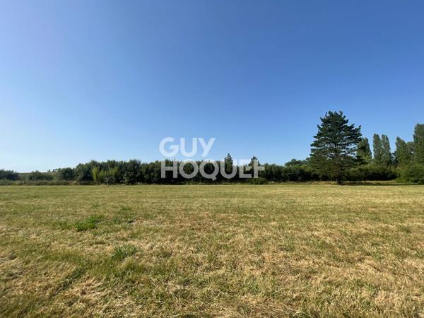Terrain plat et viabilisé 1499 m² proche Hagetmau