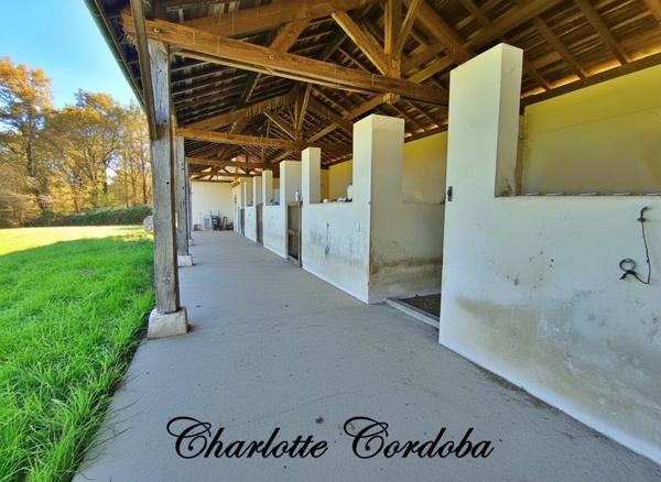 Un havre de paix au cœur de la nature – Propriété de charme sur près de 3 hectares à Barbaste