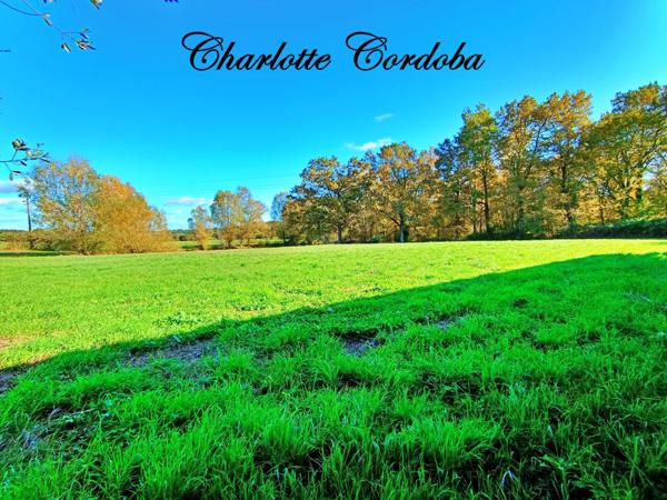 Un havre de paix au cœur de la nature – Propriété de charme sur près de 3 hectares à Barbaste