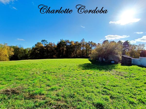 Un havre de paix au cœur de la nature – Propriété de charme sur près de 3 hectares à Barbaste