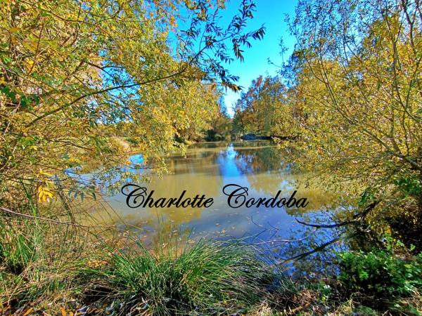 Un havre de paix au cœur de la nature – Propriété de charme sur près de 3 hectares à Barbaste