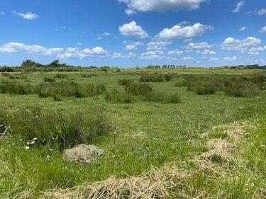 Bien agricole à vendre à Penmarch dans le Finistère (29760), ref : 023/1406