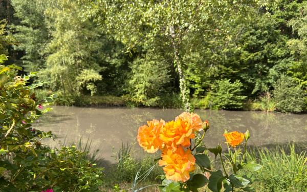 Maison à vendre    4 pièces •  Saint-Laurent-Nouan