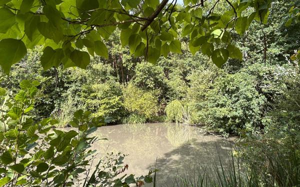 Maison à vendre    4 pièces •  Saint-Laurent-Nouan