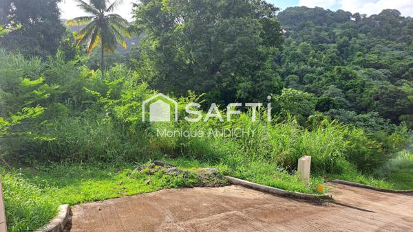 terrain  viabilisé à vendre sur le François