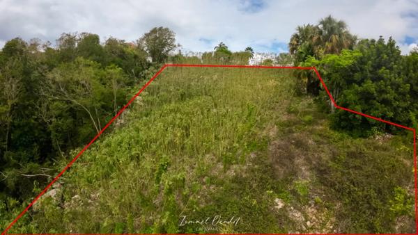 📍 À vendre – Terrain de 2307 m2 avec vue mer dans un lotissement prisé au Gosier LE GOSIER (971)