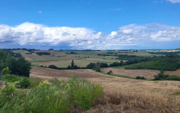 Vente Terrain Beaumont-de-lomagne   
