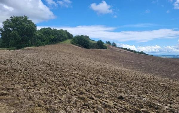 Vente Terrain Beaumont-de-lomagne   