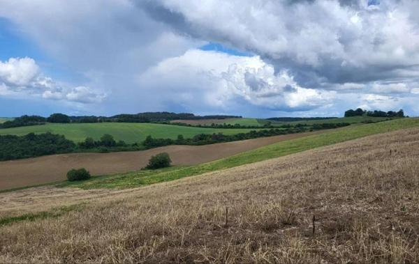 Vente Terrain Beaumont-de-lomagne   