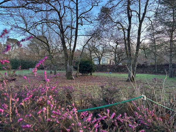 Ensemble immobilier dans petite zone artisanale .